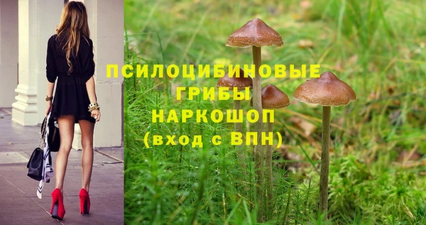 тгк Михайлов