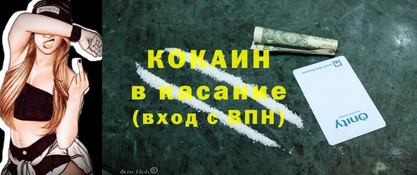 тгк Михайлов