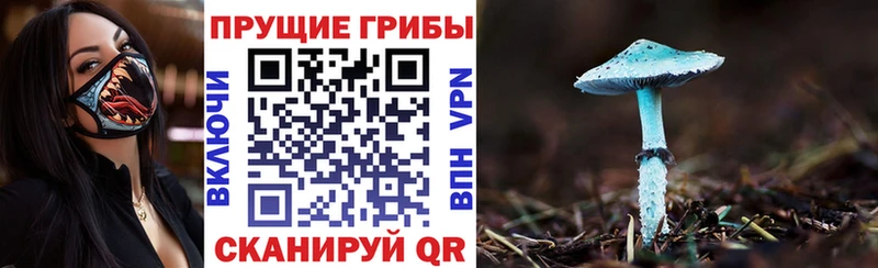 где найти наркотики  Нурлат  Псилоцибиновые грибы MAGIC MUSHROOMS 