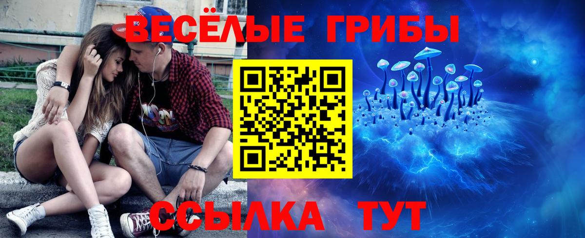 наркотики  Нурлат  Псилоцибиновые грибы ЛСД  Псилоцибиновые грибы GOLDEN TEACHER 