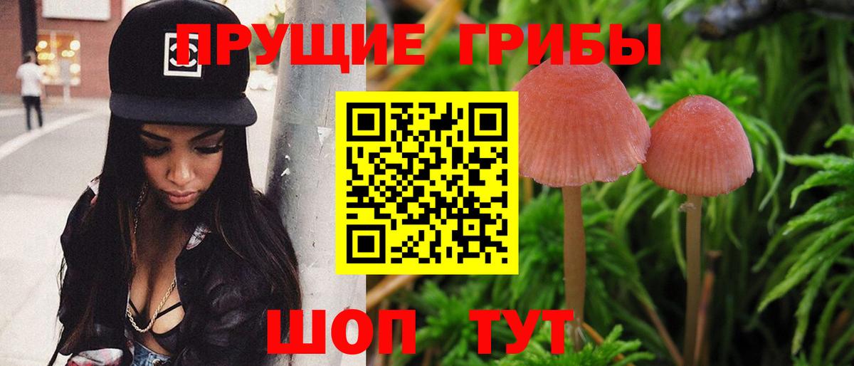 Нурлат  Псилоцибиновые грибы мухоморы  где найти   Вход с VPN 
